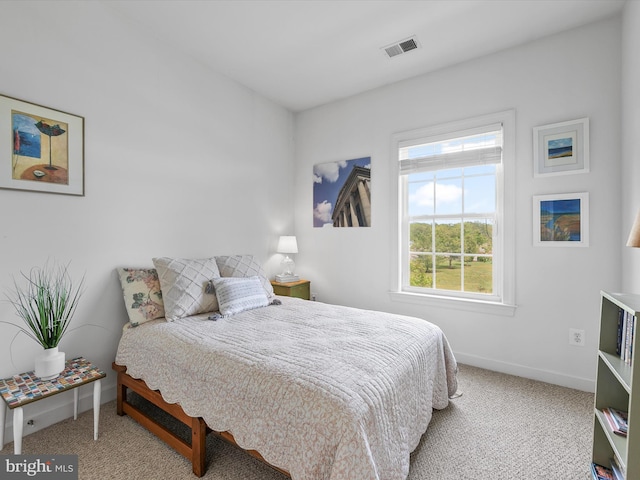 206 Village Center Blvd, Milton, DE 19968 - carpeted bedroom with baseboards