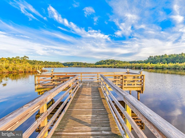 206 Village Center Blvd, Milton, DE 19968 - dock featuring a water view and a forest view