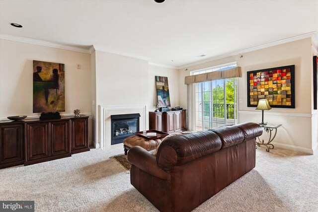 6000 Same Voyage Way Unit 307, Clarksville, MD 21029 - living room with carpet, ornamental molding, a glass covered fireplace, and baseboards