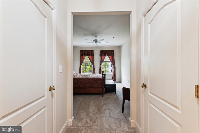 6000 Same Voyage Way Unit 307, Clarksville, MD 21029 - corridor featuring light colored carpet and baseboards