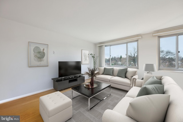 1900 Lyttonsville Rd Unit 1017, Silver Spring, MD 20910 - living area with wood finished floors and baseboards