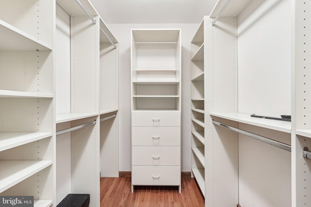 237 Bordentown-Georgetown Rd, Chesterfield, NJ 08515 - spacious closet featuring light wood-style flooring