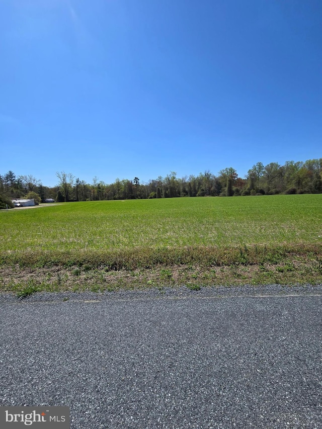 3880 Laurel Grove Rd, Federalsburg, MD 21632 - view of road