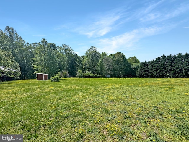 4152 Windy Hills Ln, King George, VA 22485 - view of green lawn with an outbuilding and a view of trees