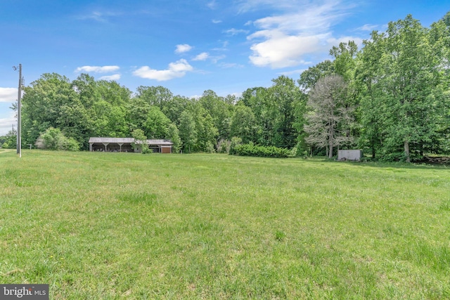 4152 Windy Hills Ln, King George, VA 22485 - view of green lawn with an outbuilding