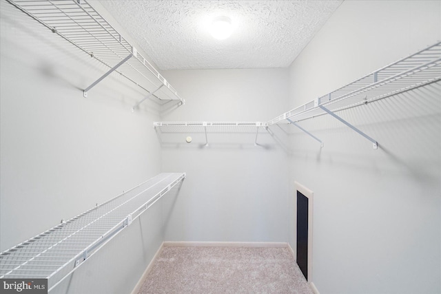 spacious closet with carpet