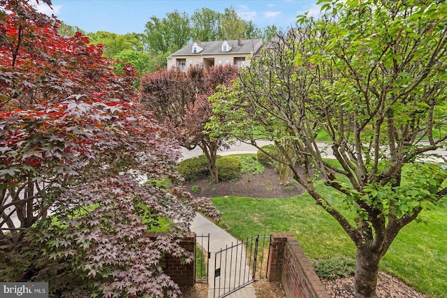 view of yard with fence and a gate