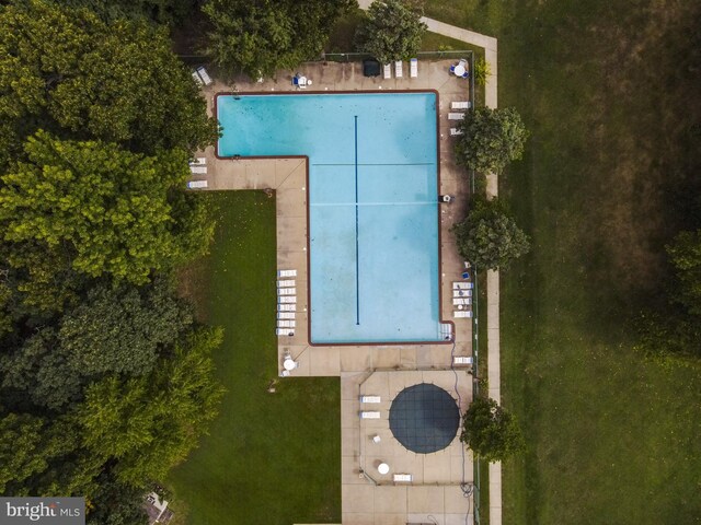 bird's eye view of a pool