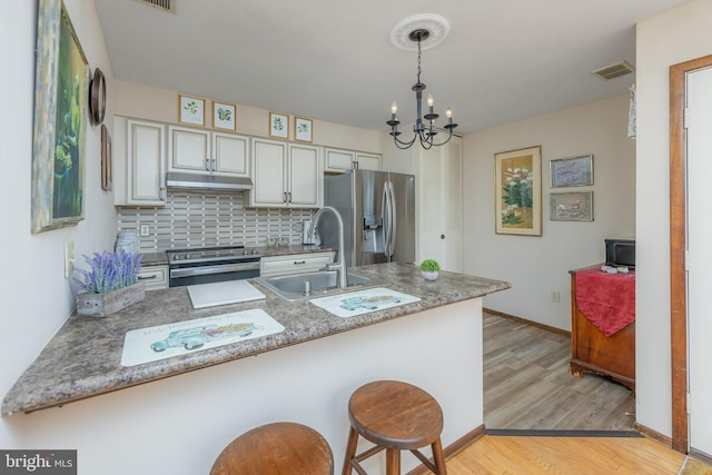 kitchen with appliances with stainless steel finishes, a sink, under cabinet range hood, tasteful backsplash, and light wood-style floors