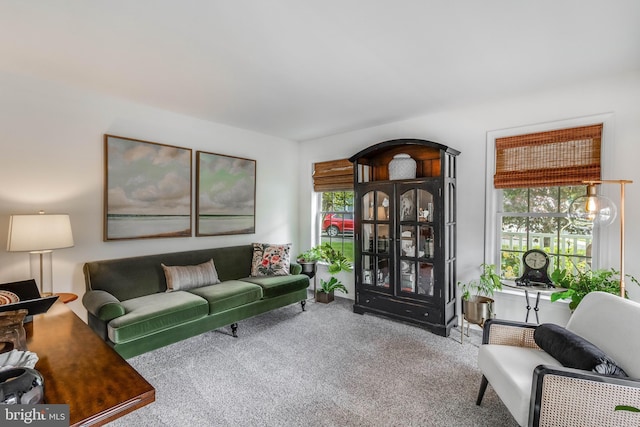 32469 Approach Way Unit 3296, Millsboro, DE 19966 - carpeted living area with plenty of natural light