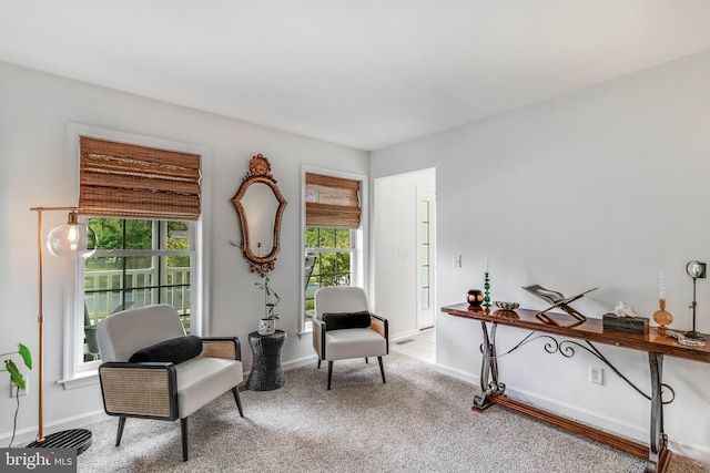 32469 Approach Way Unit 3296, Millsboro, DE 19966 - sitting room with light carpet and baseboards