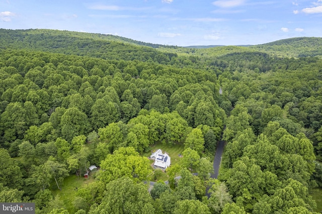 bird's eye view with a forest view