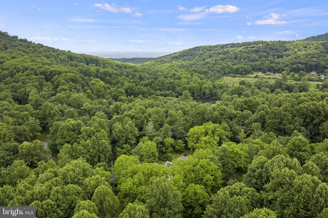 mountain view featuring a forest view