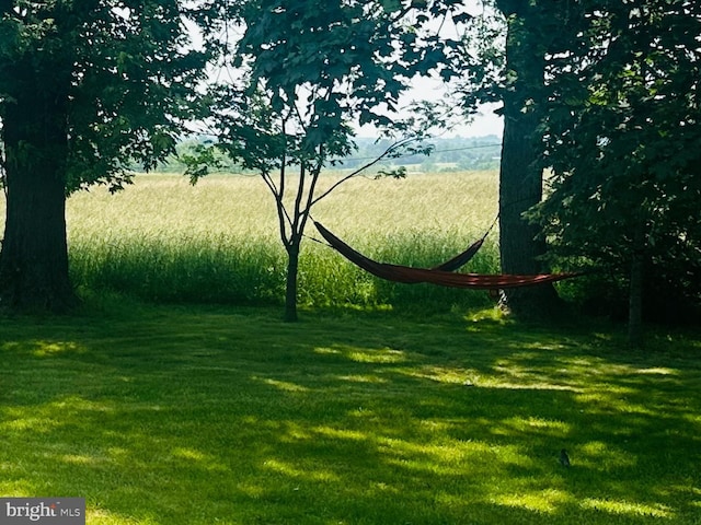 481 Laudermilch Rd, Hershey, PA 17033 - view of grassy yard