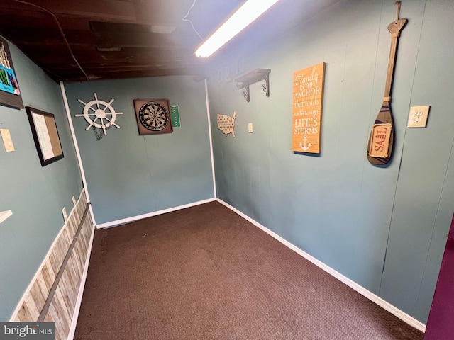 below grade area with carpet floors