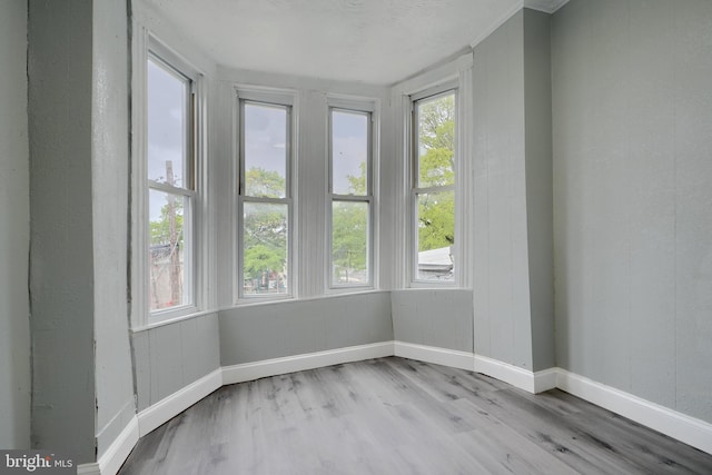 empty room with healthy amount of natural light, wood finished floors, and baseboards