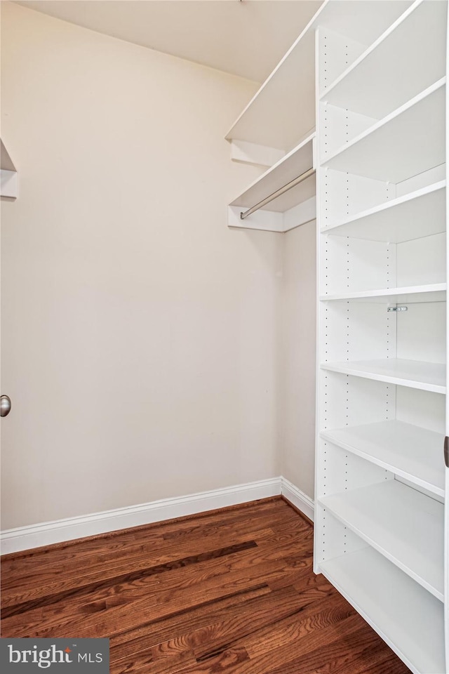 spacious closet with dark wood-style floors