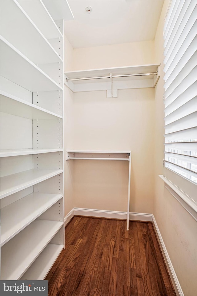 walk in closet with wood finished floors
