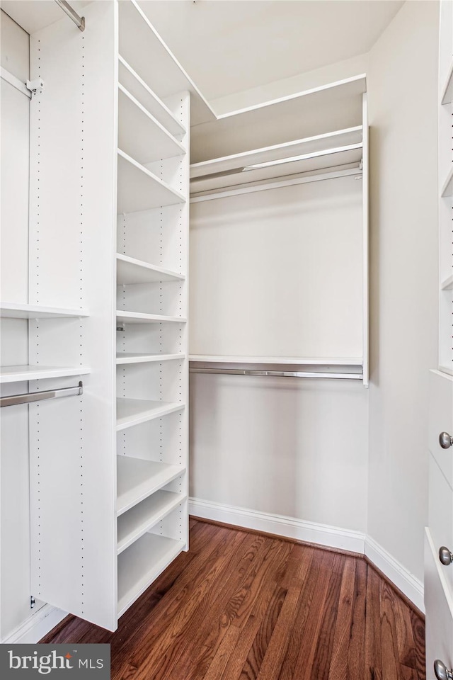 spacious closet with dark wood-type flooring