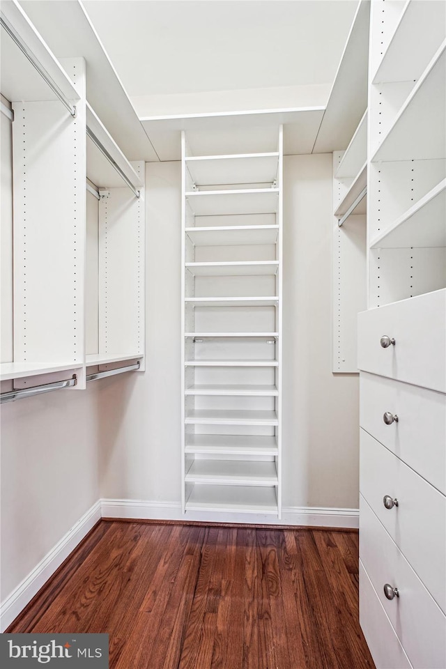 spacious closet featuring dark wood-style floors