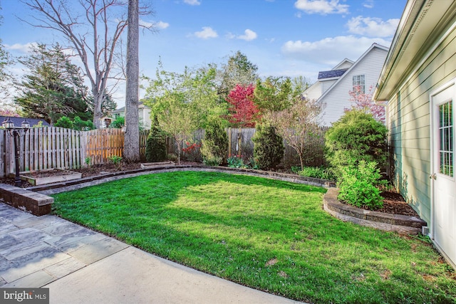 view of yard featuring a fenced backyard