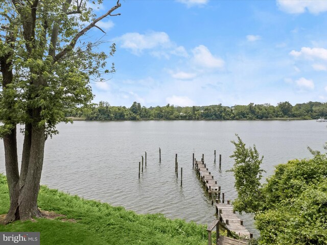 1924 Hidden Point Rd, Annapolis, MD 21409 - water view featuring a dock
