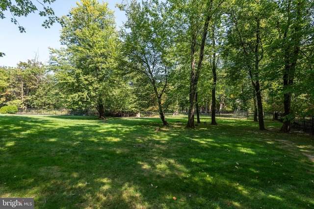 1389 Lamplighter Cir, Gwynedd, PA 19436 - view of yard