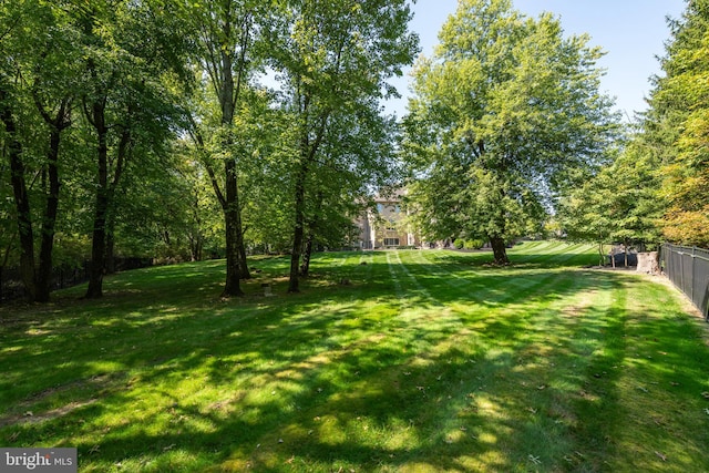 1389 Lamplighter Cir, Gwynedd, PA 19436 - view of yard