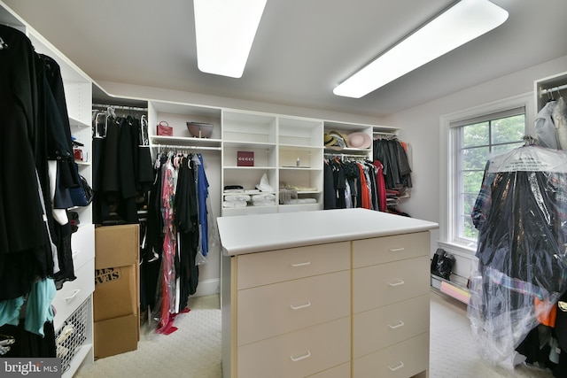 1389 Lamplighter Cir, Gwynedd, PA 19436 - view of spacious closet