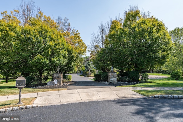 1389 Lamplighter Cir, Gwynedd, PA 19436 - view of road