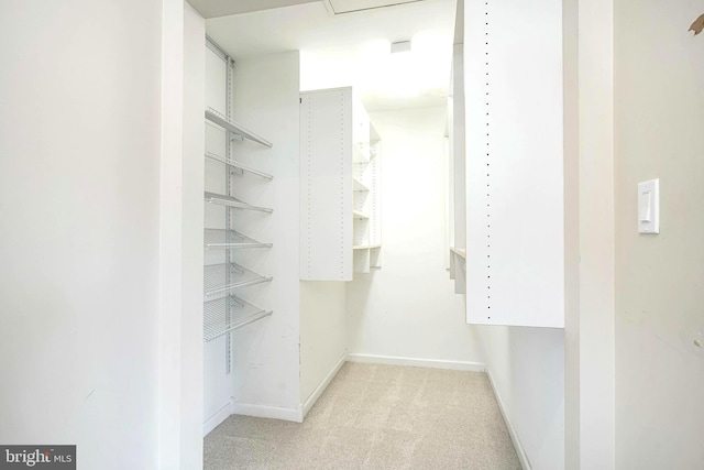 walk in closet featuring light carpet