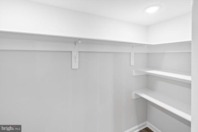 view of walk in closet
