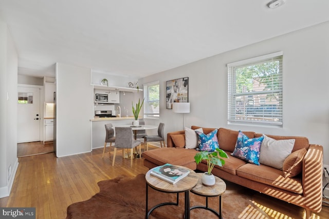 6526 N Capitol St NW, Washington, DC 20012 - living area with wood-type flooring