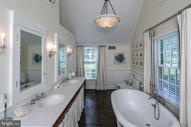 bathroom with lofted ceiling, a wealth of natural light, visible vents, and a sink