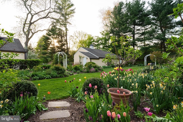 view of yard