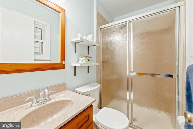 bathroom featuring a shower stall, vanity, and toilet