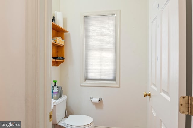 bathroom with toilet, a wealth of natural light, and baseboards