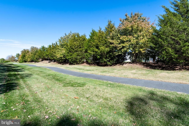 7400 Michael Ave, Easton, MD 21601 - view of street