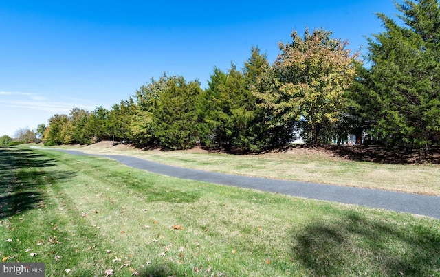 7400 Michael Ave, Easton, MD 21601 - view of street