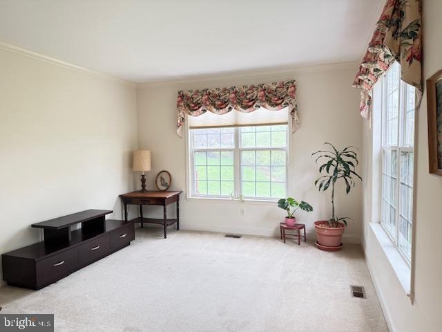 living area with carpet flooring, crown molding, plenty of natural light, and visible vents