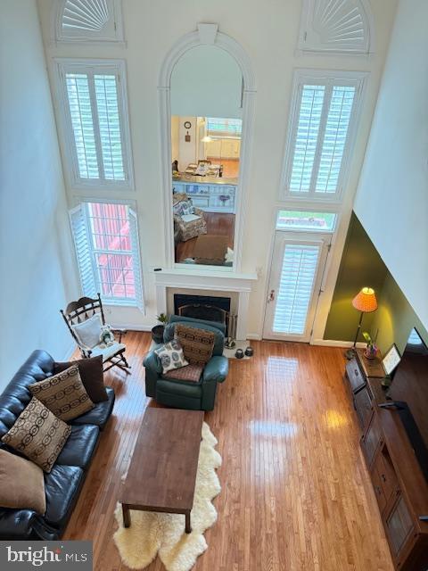 living room featuring a healthy amount of sunlight, a high ceiling, and wood finished floors