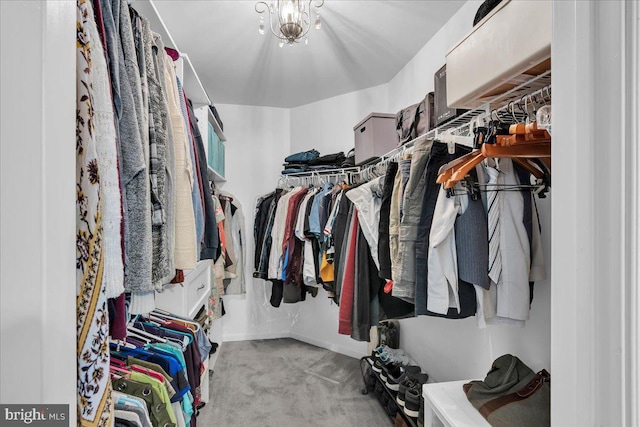 spacious closet with carpet