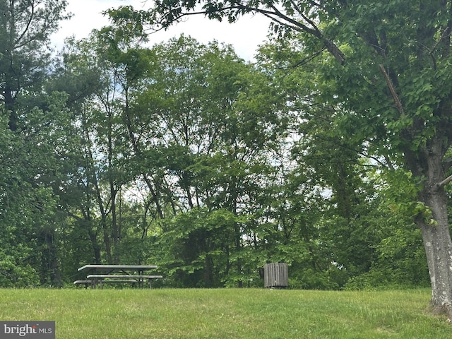 937 Dunloring Ct, Upper Marlboro, MD 20774 - view of yard