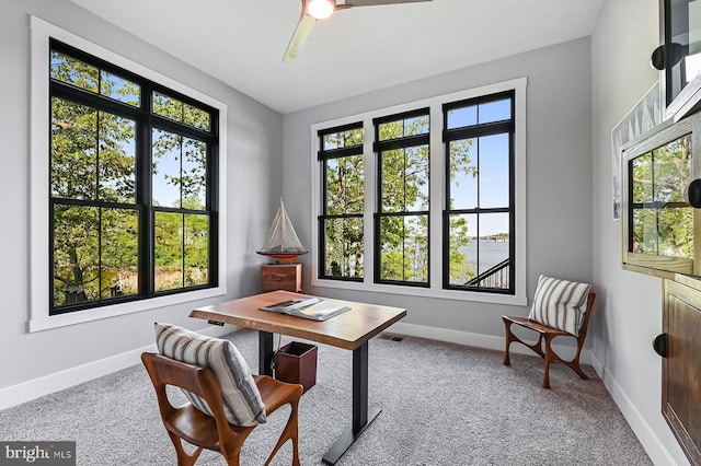 3015 Friends Rd, Annapolis, MD 21401 - office area featuring healthy amount of natural light, ceiling fan, baseboards, and carpet floors