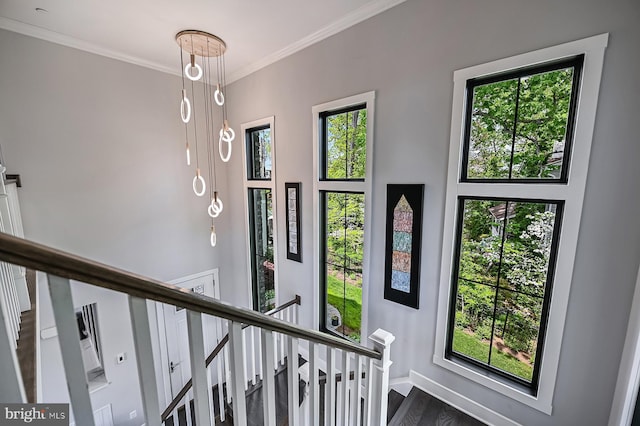 3015 Friends Rd, Annapolis, MD 21401 - staircase featuring baseboards, crown molding, healthy amount of natural light, and wood finished floors