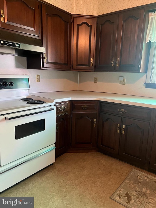 1228 Spruce St, Ashland, PA 17921 - kitchen with dark brown cabinets, light countertops, electric stove, and under cabinet range hood