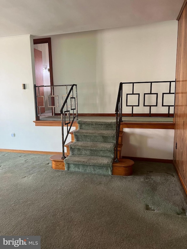 1228 Spruce St, Ashland, PA 17921 - stairs featuring carpet floors and baseboards