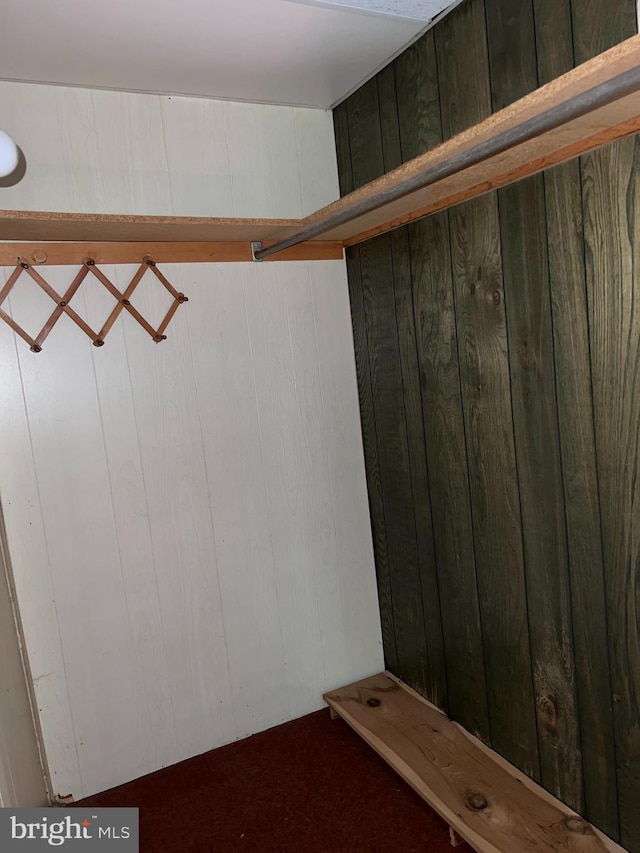 1228 Spruce St, Ashland, PA 17921 - spacious closet with dark colored carpet