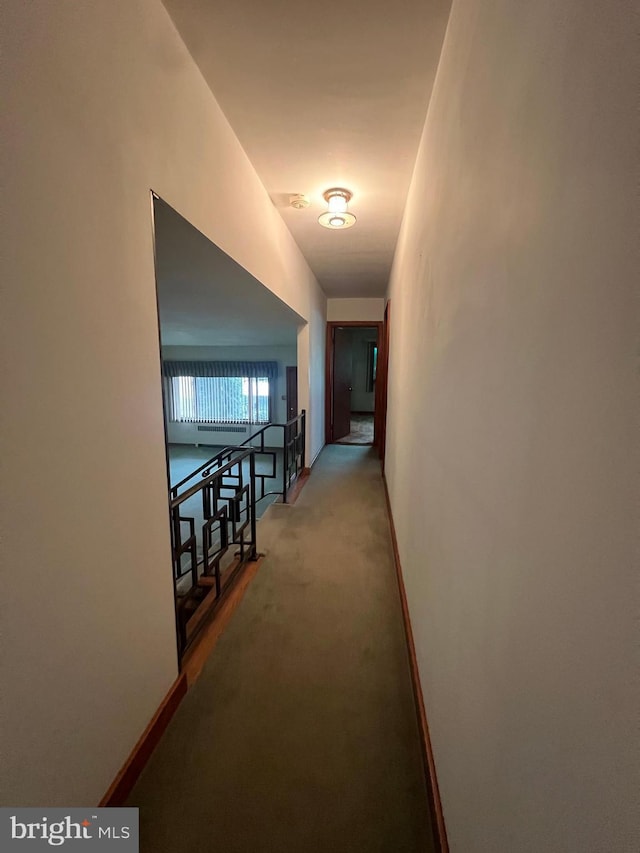 1228 Spruce St, Ashland, PA 17921 - hall with carpet floors