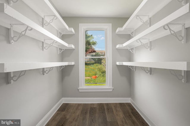 walk in closet featuring wood finished floors